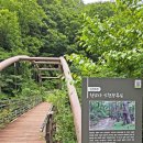 ＜256＞6월13일＜토요일＞'비련의 왕비가 걷던 그길' 경북 김천 인현왕후길+국립자작나무숲 이미지
