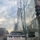 길고 길었던 마리아 병원 난자냉동 후기! 과배란 증상/비용