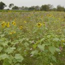 서동공원 화장실 이미지