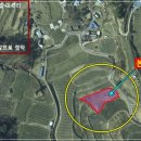 분지농장 이미지