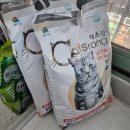 바른샘어린이도서관 | 여자 둘, 고양이와 함께 사는 일상 기록 | 각종 체험단 | 2월 셋째주(2)