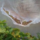 해순농장 이미지