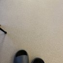 멍스 크로스 | [경기도 화성] 멍스크로스 애견카페 방문기