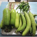 재학농장 이미지