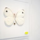 얍 얍 얍 이미지