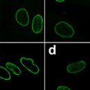 가람메드 | 라민 영/한/히 (1)