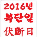 2016 복단일 이미지