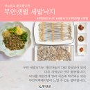 무안-5 이미지