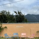 호화리안 이미지