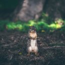 유아공감 - 하남시 미사강변한강로 135 | 유아공감