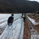 청기면사무소 이미지