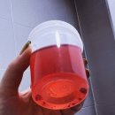 대창하양지렁이농장 | 소변쓰라림 생겼다면 여자방광염혈뇨 의심해보세요 (응급실 후기)