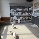 메디 포즈 동물병원 이미지