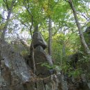 매전보건지소 이미지