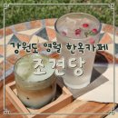 카페350 | 강원도 영월 한옥카페 | 조견당 | 한옥스테이도 가능한 350년 역사의 한옥카페 내돈내산 후기!
