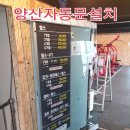 태양 후렘 이미지