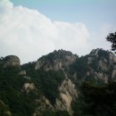 정릉50 이미지