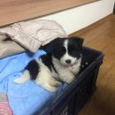 뉴럭키 스터디카페 | 쉬었움