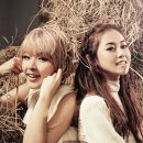 헤어라푼젤 이미지