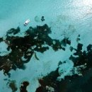 카라교역 이미지