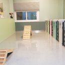 스토리펫 이미지