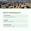 홍성군청 | 충남핫플! 홍성 거북이마을 수선화 + 속동 전망대 + 해미읍성