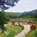 삼정회