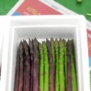 최병용농장 네이버블로그