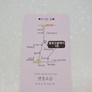 헤인헤어 이미지