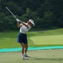 나이스골프 이미지