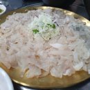 [고양시] 153일산회 : 백석역횟집 부산식 막회 맛집