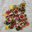 예소담유치원 이미지