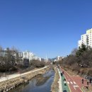 무지개약국 | 서울 중계 무지개아파트 부동산 임장 후기, 직접 걸어보니 이런 분위기였어요