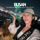 타임 | 부산 해운대 요트투어 가격 예약 광안리 드론쇼 타임 후기
