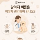 인동동물병원