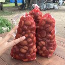 큰뜰농장 네이버블로그