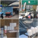 용연낚시터 | 양산 용연낚시터에서 붕어낚시 즐기기~