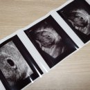 오월희망의원 이미지