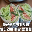 샐러리아배방탕정점