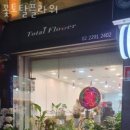 에버그린 플라워 이미지