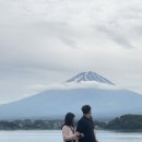 270-2525 | 도쿄 3일차 후지산 투어 후기, 신주쿠 가성비 스시 맛집 Oedo