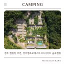 숲217 | 경주 캠핑장 추천, 경주캠프포레스트 D9사이트 숲속캠핑 후기