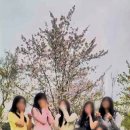 칠일칠
