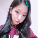 예인정보