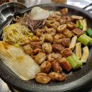 주식회사 멍시태그 이미지