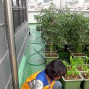 시흥1동주민센터 이미지