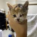 역전주차장 이미지