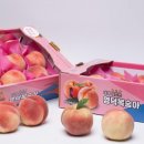 남산 마을회관 앞 이미지