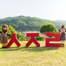 (주)제주미니버스투어서비스 이미지