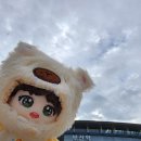부산구치소 | 2024 부산 국제 영화제 후기